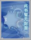 护国神婿