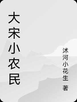 大宋小农民